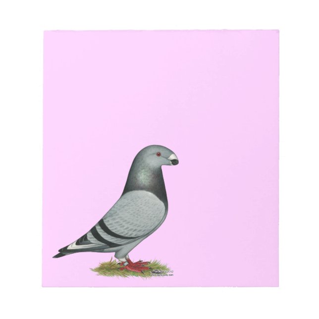 Show Racer Mismark Notepad (Front)