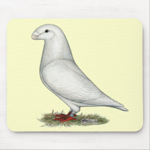 Show Racer White Mouse Mat