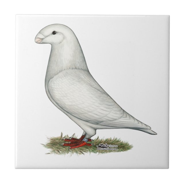 Show Racer White Tile (Front)