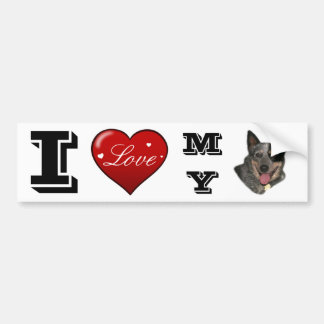 Show your pride bumper sticker