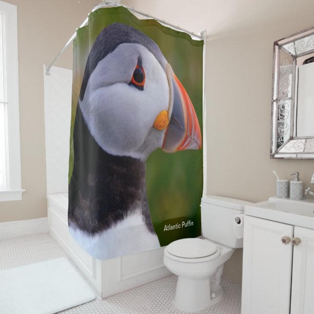 Shower Curtain (In Situ)