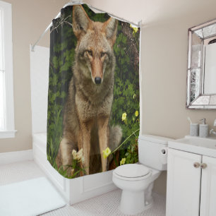 Shower Curtain Coyote