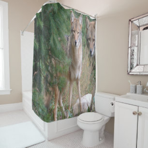 Shower Curtain Coyote
