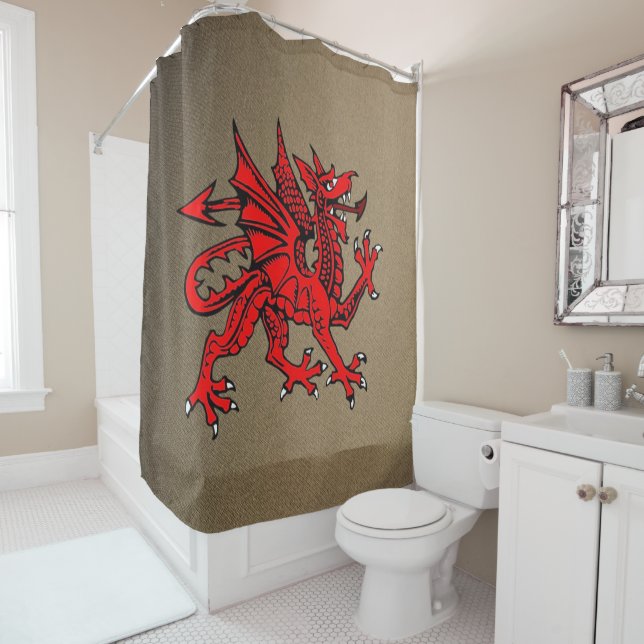 Shower curtain Dragon (In Situ)