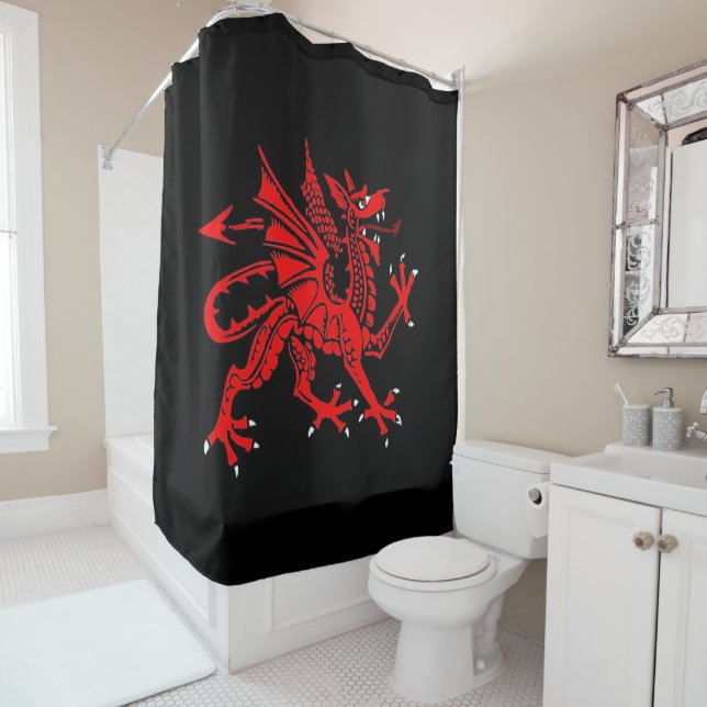Shower curtain Dragon (In Situ)