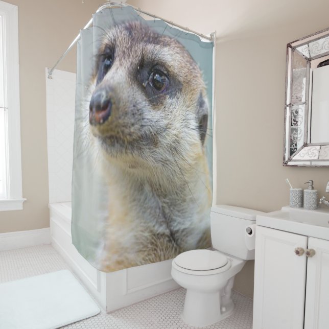 Shower Curtain Meerkat (In Situ)