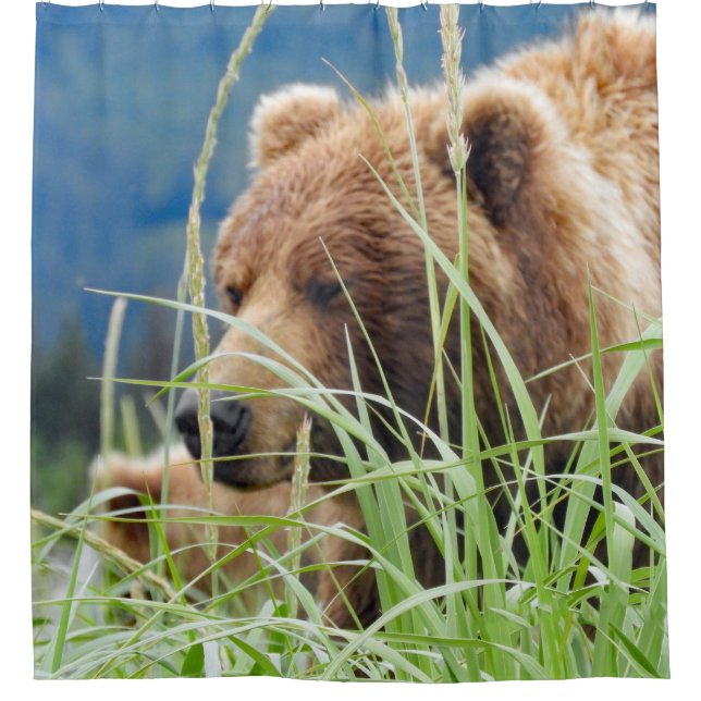 Shower curtain of grizzly bear & cub (Front)
