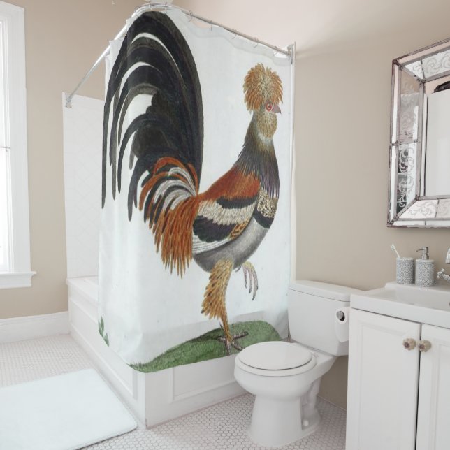 Shower Curtain Rooster (In Situ)