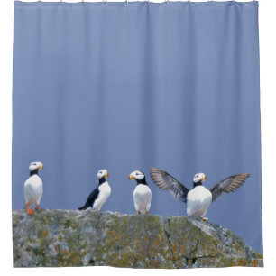 Shower Curtain w/ puffins