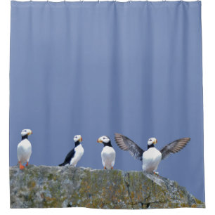 Shower curtain w/ puffins