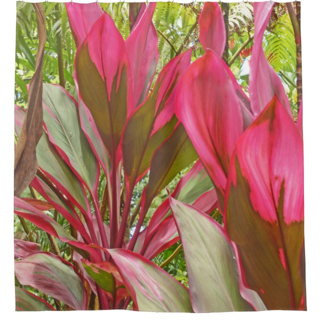 SHOWER CURTAIN WITH HAWAIIAN RED SISTER TI PLANTS (Front)