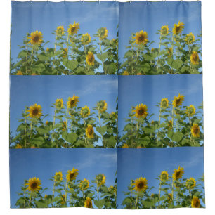 Shower Curtbeautiful sunflowers in blue sky Curtain