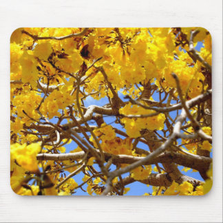 Shower Of Gold Mouse Mat