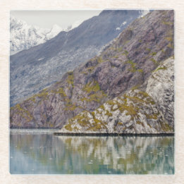 Showing Its Stripes Glass Coaster