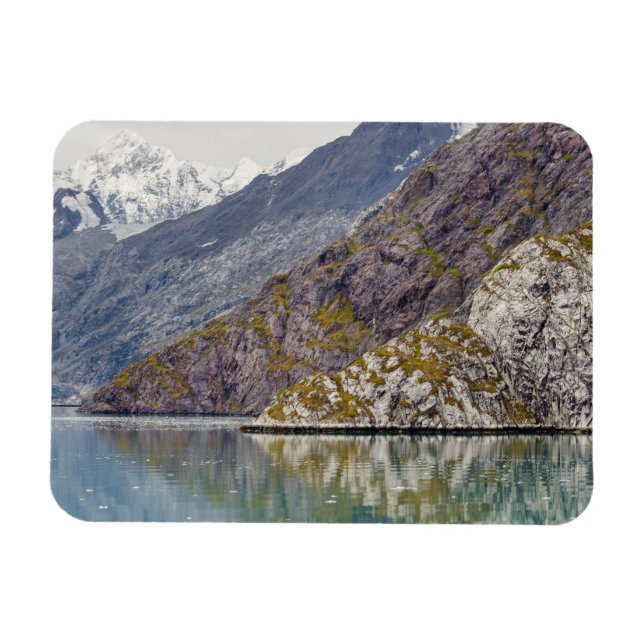 Showing Its Stripes Magnet (Horizontal)