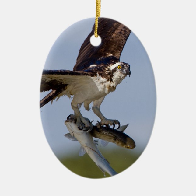 Showing Off Ceramic Tree Decoration (Front)