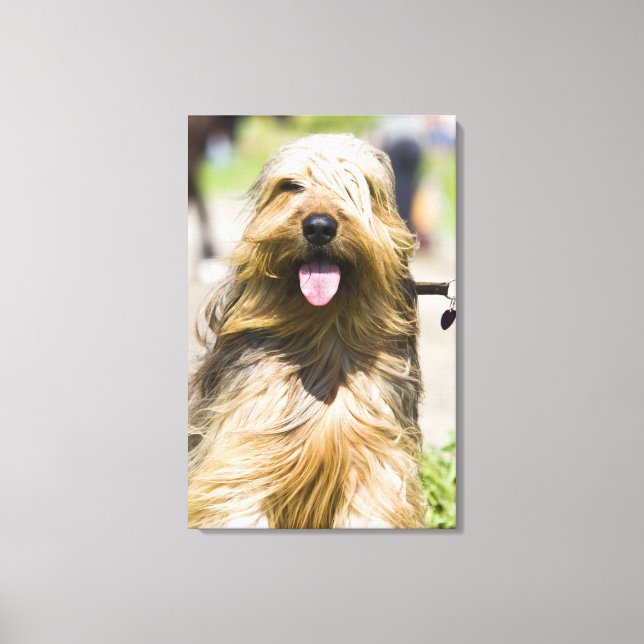showing tongue, long hair, portrait canvas print (Front)