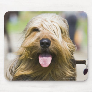 showing tongue, long hair, portrait mouse mat