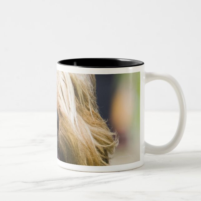 showing tongue, long hair, portrait Two-Tone coffee mug (Right)