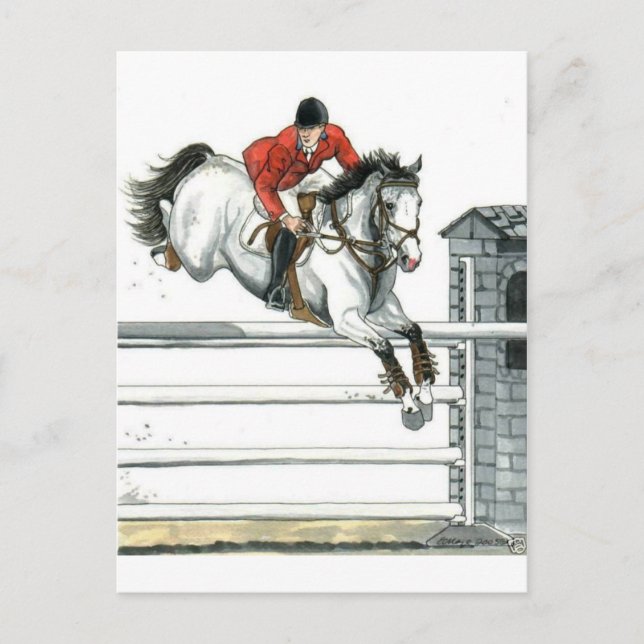 Showjumping Grey Horse Over Fences Postcard (Front)