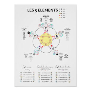 Shows 5 items Chinese Medicine Poster