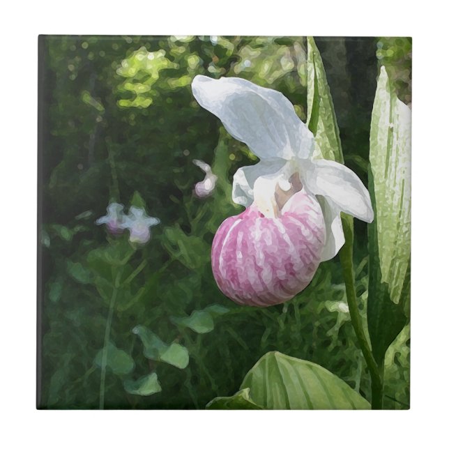 Showy Lady's Slipper Tile (Front)