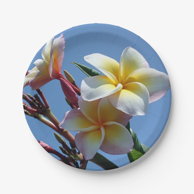 Showy Plumeria Frangipani Blooms Paper Plate (Front)