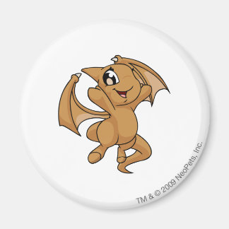 Shoyru Brown Magnet