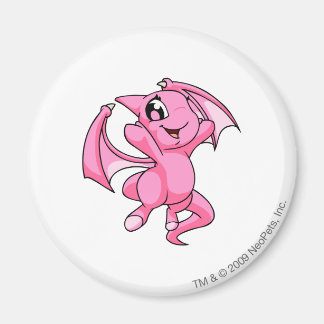 Shoyru Pink Magnet