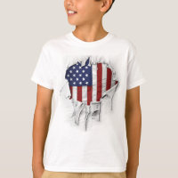 Shredded, Ripped and Torn American Flag