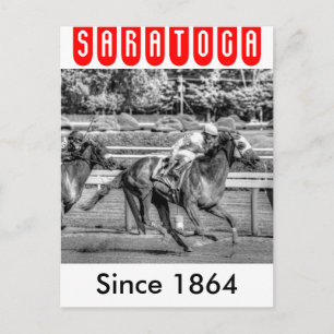 Shrewd One by Smarty Jones Postcard