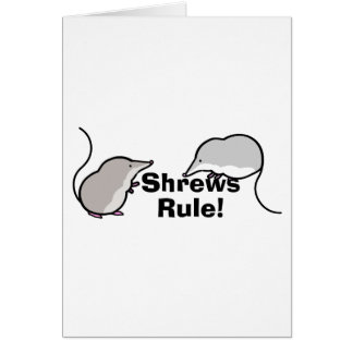 Shrews Rule!