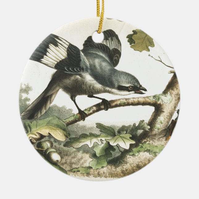 SHRIKE BIRD WITH BUG CERAMIC TREE DECORATION (Front)