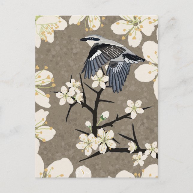 Shrike Holiday Postcard (Front)