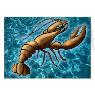 Shrimp