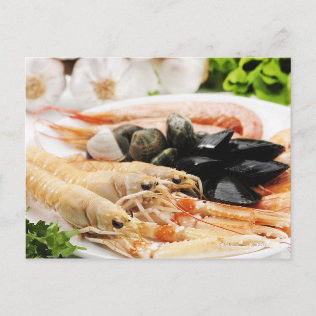 Shrimp and mussels postcard (Front)