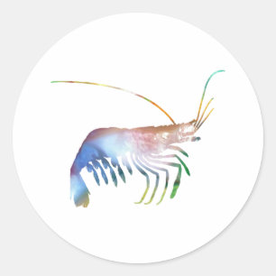 Shrimp art classic round sticker