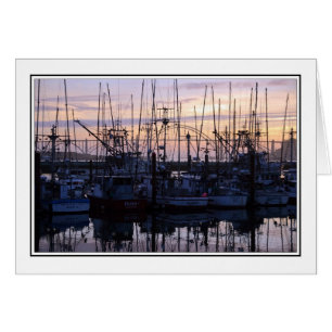 Shrimp Boats