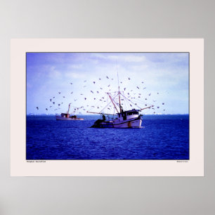 Shrimp Boats Texas Gulf Poster
