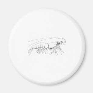 Shrimp Magnet