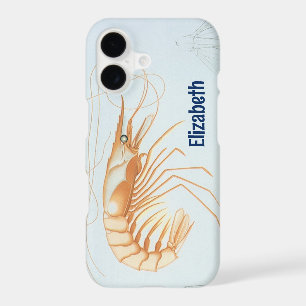 Shrimp or Prawn, Vintage Marine Life Ocean Animals