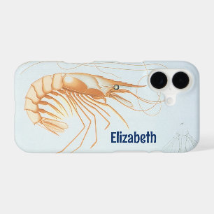 Shrimp or Prawn, Vintage Marine Life Ocean Animals