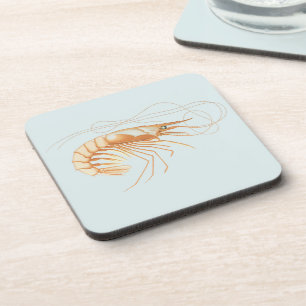 Shrimp or Prawn, Vintage Marine Life Ocean Animals Coaster