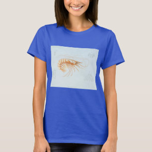 Shrimp or Prawn, Vintage Marine Life Ocean Animals T-Shirt