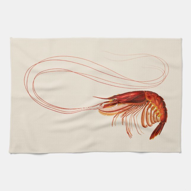 Shrimp - Plesiopenaius Edwardsianus Tea Towel (Horizontal)