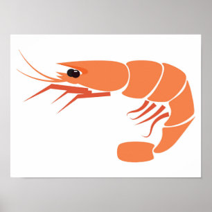 Shrimp Poster