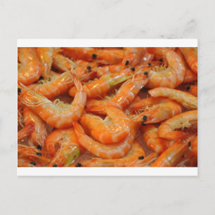 Shrimp Prawns Postcard