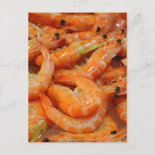 Shrimp Prawns Postcard