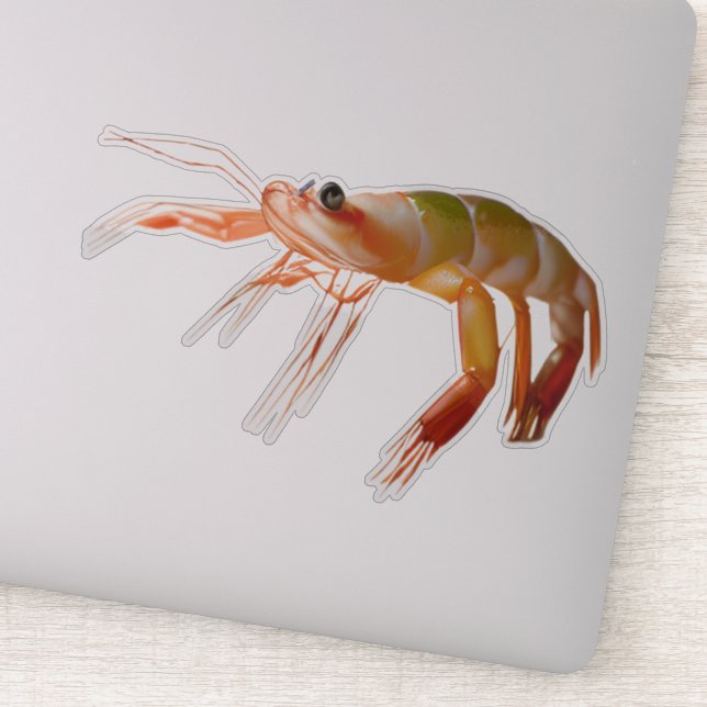 Shrimp small guy tough strong (Detail)