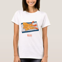 Shrimp tempura cartoon illustration